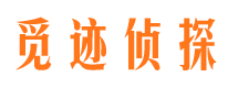 鸡冠市调查公司